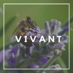 résilience territoriale - vivant