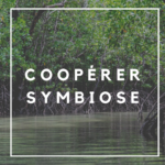 résilience territoriale - coopérer - symbiose